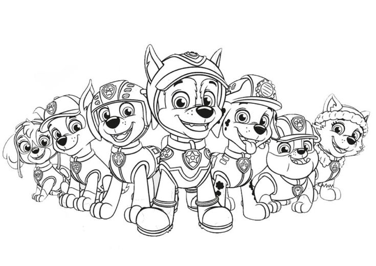 hojas para colorear patrulla canina