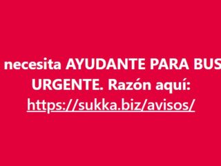 ayudante-para-buses